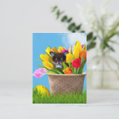 イースターチワワ犬 シーズンポストカード (スタンド正面)