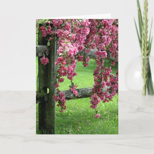 イースタードッグウッド シーズンカード (正面)