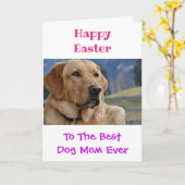 イースタードッグ母の世界の最高のペットの写真 カード (黄色い花)