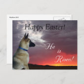 イースターハガキ彼が立ち上がったドイツの羊飼い シーズンポストカード (正面/裏面)