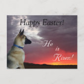 イースターハガキ彼が立ち上がったドイツの羊飼い シーズンポストカード (正面)