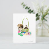 イースターバスケットに坐っている混合された品種子犬 シーズンポストカード (スタンド正面)