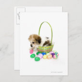 イースターバスケットに坐っている混合された品種子犬 シーズンポストカード (正面/裏面)