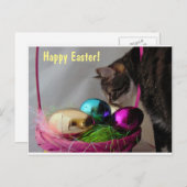 イースターバスケット付き猫 シーズンポストカード (正面/裏面)