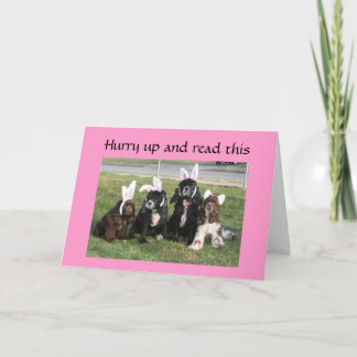 イースターバニーが耳の周りで怒っている!!! シーズンカード