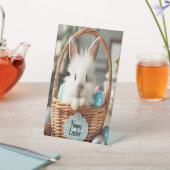 イースターバニーとその卵。 台座サイン (インサイチュ)