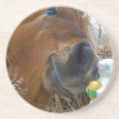 イースターバニーとブラウンの馬 コースター (正面)