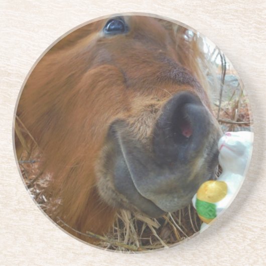 イースターバニーとブラウンの馬 コースター (正面)