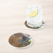 イースターバニーとブラウンの馬 コースター (側面)