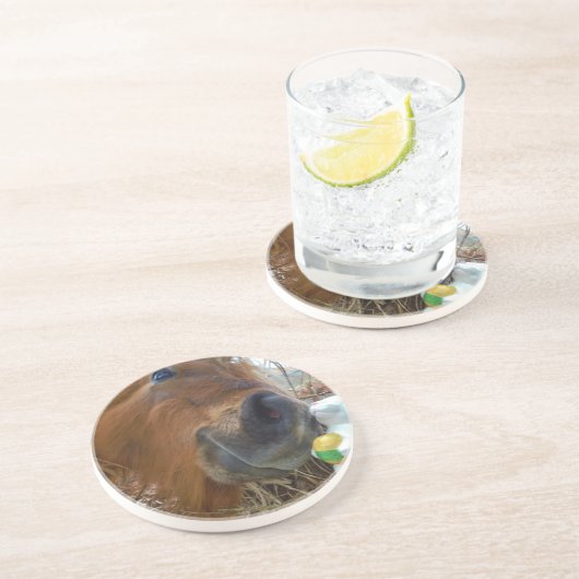 イースターバニーとブラウンの馬 コースター (側面)