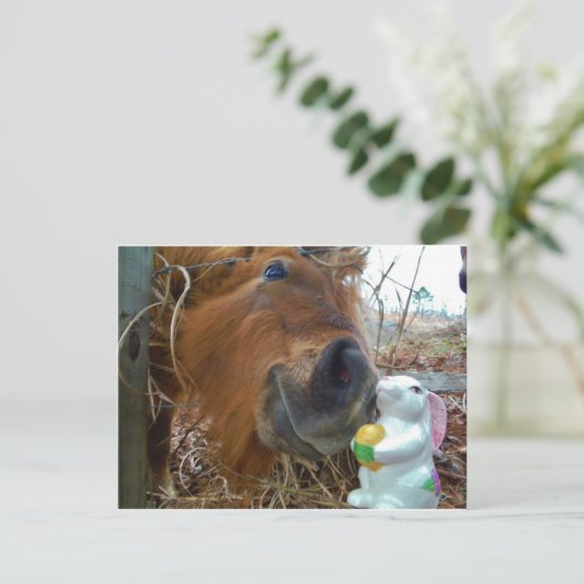 イースターバニーとブラウンの馬 シーズンポストカード (スタンド正面)