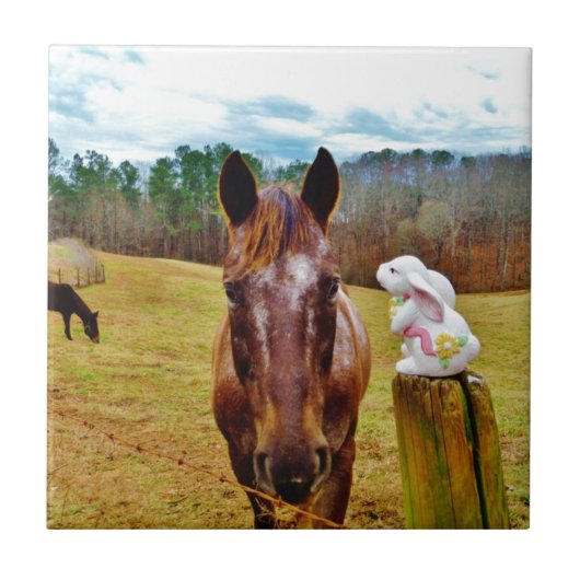 イースターバニーとブラウンの馬 タイル (正面)