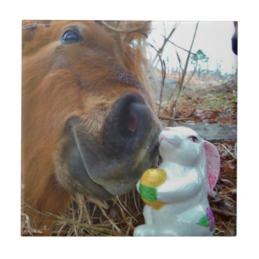 イースターバニーとブラウンの馬 タイル (正面)