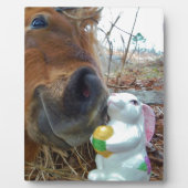 イースターバニーとブラウンの馬 フォトプラーク (正面)