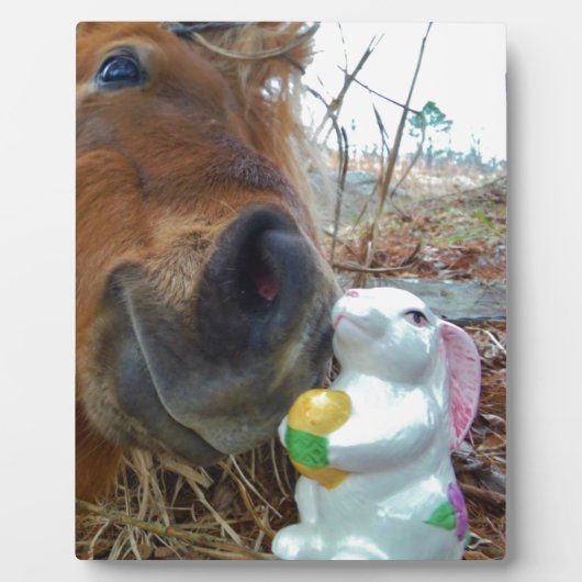 イースターバニーとブラウンの馬 フォトプラーク (正面)