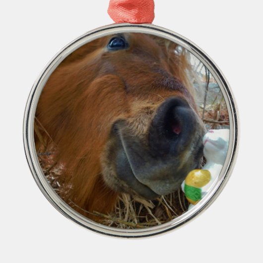 イースターバニーとブラウンの馬 メタルオーナメント (正面)