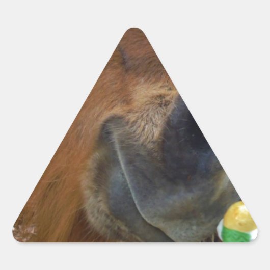 イースターバニーとブラウンの馬 三角形シール (正面)