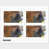 イースターバニーとブラウンの馬 長方形シール (シート)