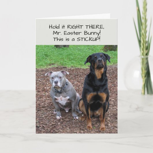 イースターバニーのスタックアップイースターカード シーズンカード (正面)