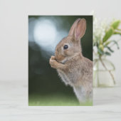 イースターバニーのフォトカード セーブザデート (スタンド正面)