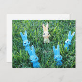 イースターバニーのポストカード シーズンポストカード (正面/裏面)