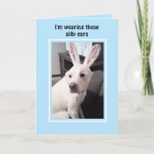 イースターバニーの耳が青い、かわいい白い子犬 シーズンカード (正面)