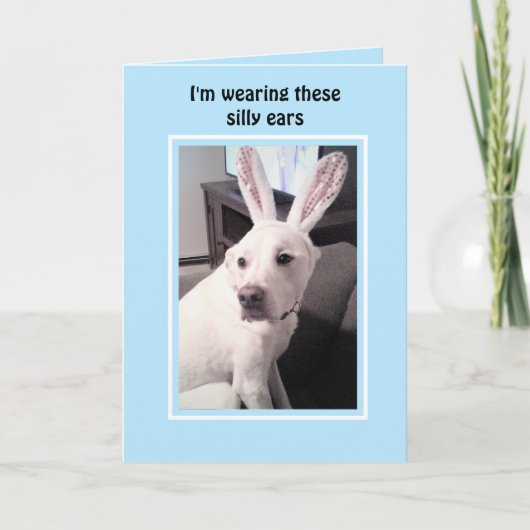 イースターバニーの耳が青い、かわいい白い子犬 シーズンカード (正面)