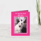 イースターバニーの耳を着たかわいい白い子犬 カード (正面)