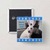 イースターバニーの耳を着たかわいい白犬の写真 缶バッジ (正面&裏面)