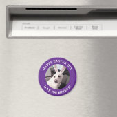 イースターバニーの耳を紫に着たかわいい白い犬 マグネット (インサイチュ (食洗機))