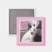 イースターバニーの耳ピンクの幸せなかわいい子犬 マグネット (正面/裏面)