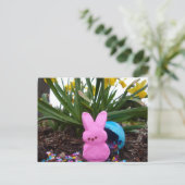 イースターバニーアニマル春ピンクピースラブ シーズンポストカード (スタンド正面)