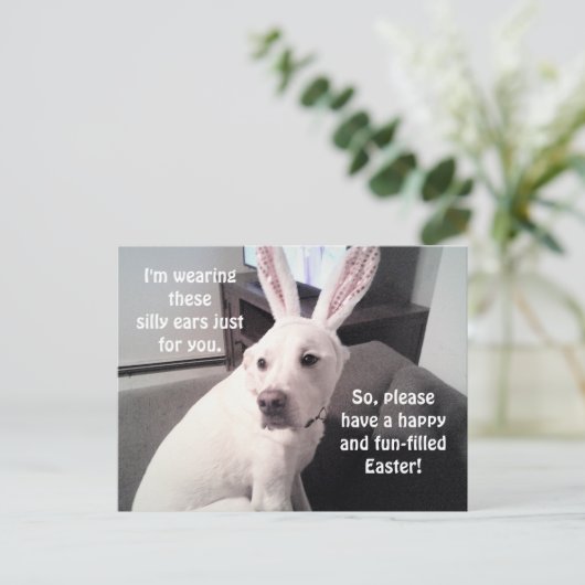 イースターバニーイヤーをかぶったかわいい白い子犬 ポストカード (スタンド正面)