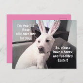イースターバニーイヤーをかぶったかわいい白い子犬 ポストカード (正面/裏面)