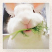 イースターバニーコースター ガラスコースター (正面)