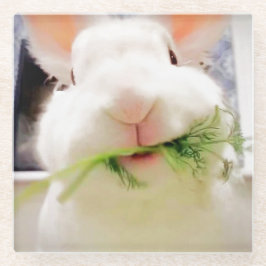 イースターバニーコースター ガラスコースター