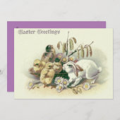 イースターバニーシックデイジー 招待状 (正面/裏面)