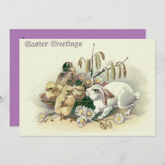 イースターバニーシックデイジー 招待状 (正面/裏面)