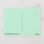 イースターバニーズポストカード3枚 ポストカード (裏面)