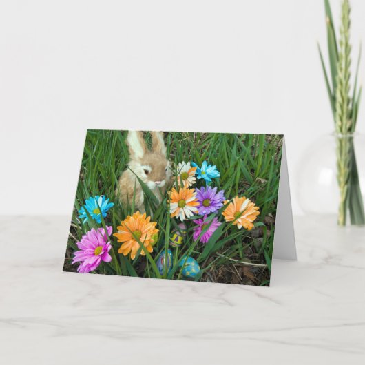 イースターバニーデイジー シーズンカード (正面)