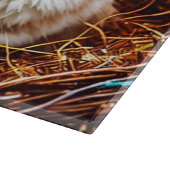 イースターバニーバスケット&エッグ カッティングボード (角)