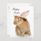 イースターバニー帽 シーズンポストカード (正面/裏面)