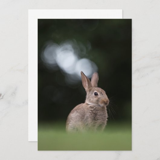 イースターバニー自然フォトカード セーブザデート (正面/裏面)