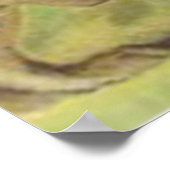 イースターバニー色彩の鮮やか色卵フィールド ポスター (角)