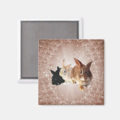 イースターバニー魔法磁石 マグネット (正面/裏面)