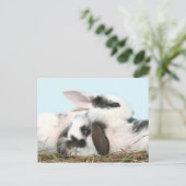 イースターバニー シーズンポストカード (スタンド正面)