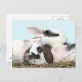 イースターバニー シーズンポストカード (正面/裏面)