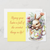 イースターバニー シーズンポストカード (正面/裏面)