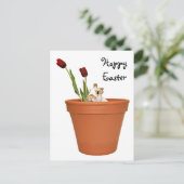 イースターバニー シーズンポストカード (スタンド正面)