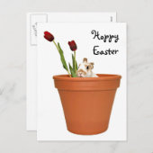 イースターバニー シーズンポストカード (正面/裏面)